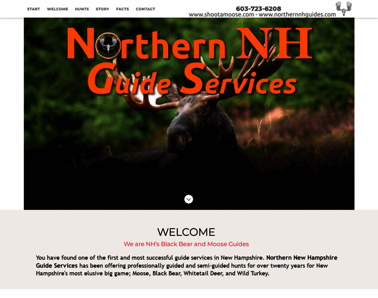 Northernnhguides.com thumbnail