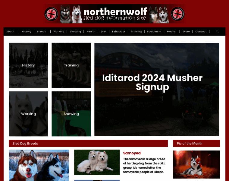 Northernwolf.co.uk thumbnail