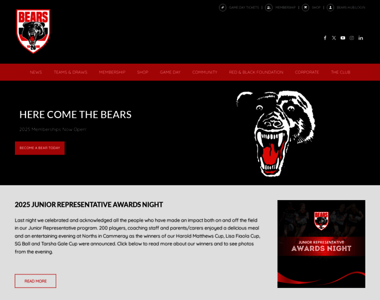 Northsydneybears.com.au thumbnail