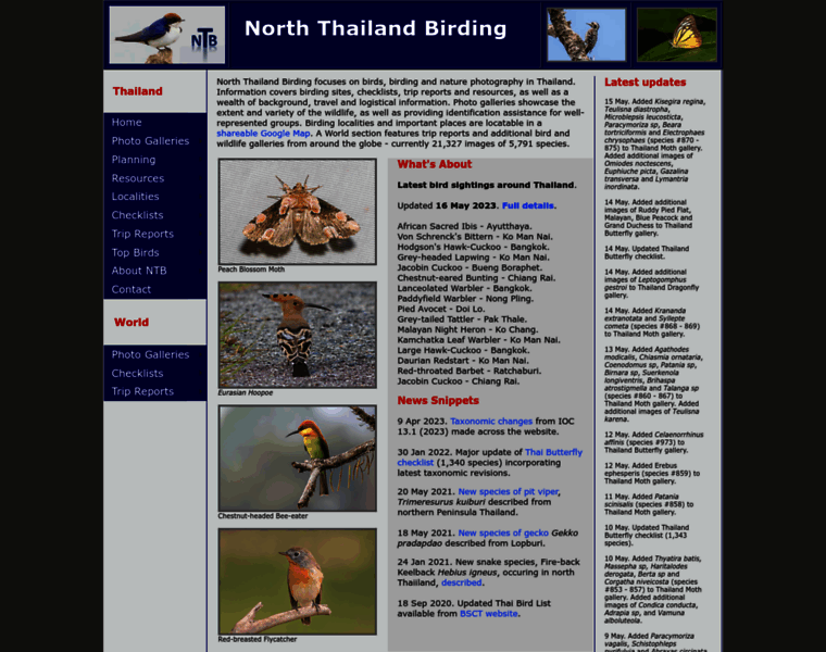 Norththailandbirding.com thumbnail