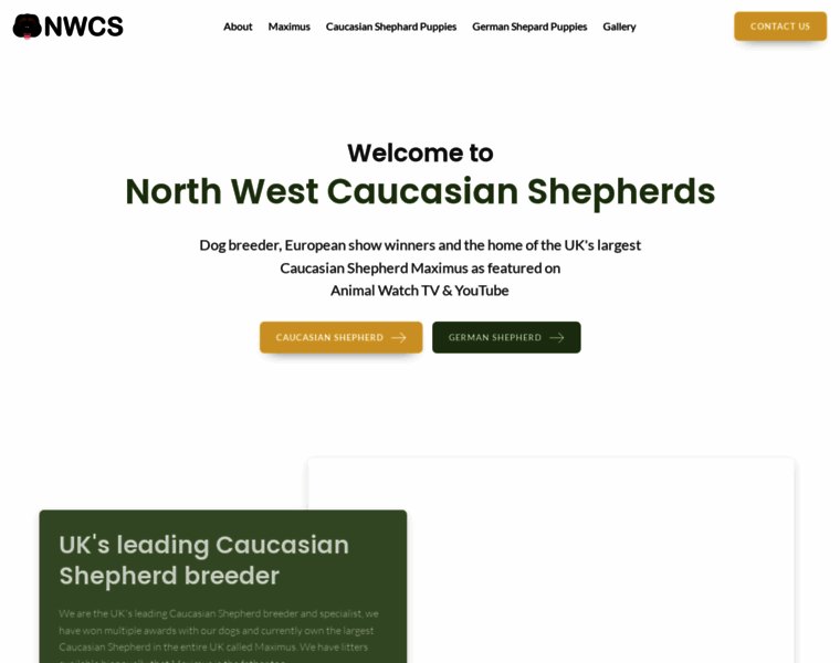 Northwestcaucasianshepherds.co.uk thumbnail
