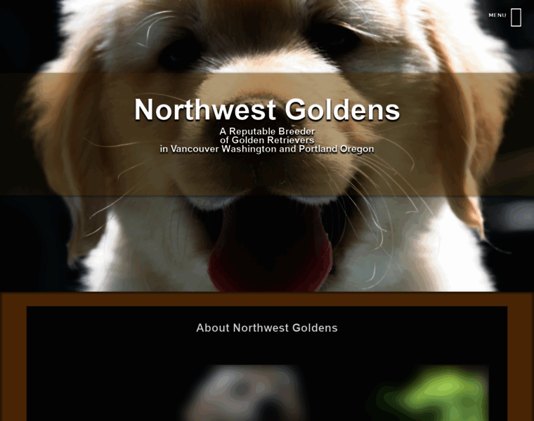 Northwestgoldens.com thumbnail