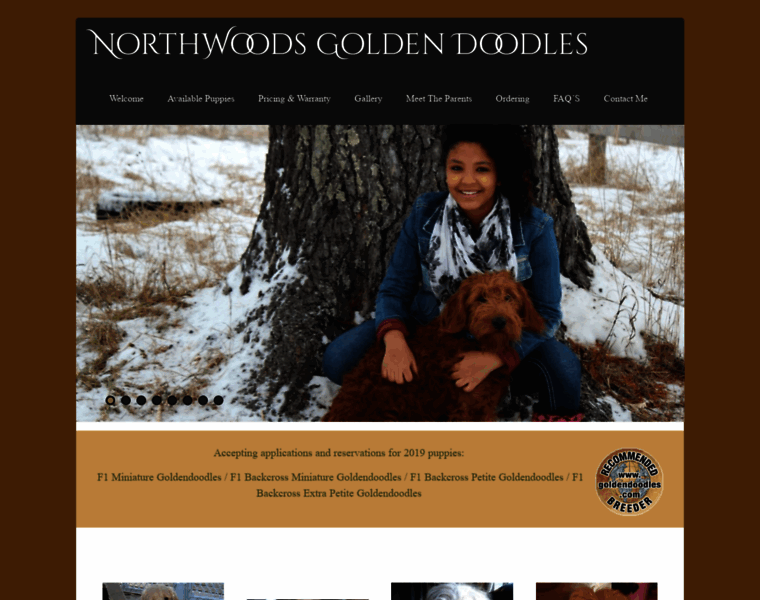 Northwoodsgoldendoodles.com thumbnail