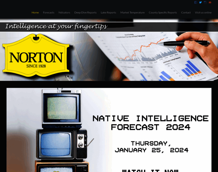 Nortonintelligence.com thumbnail