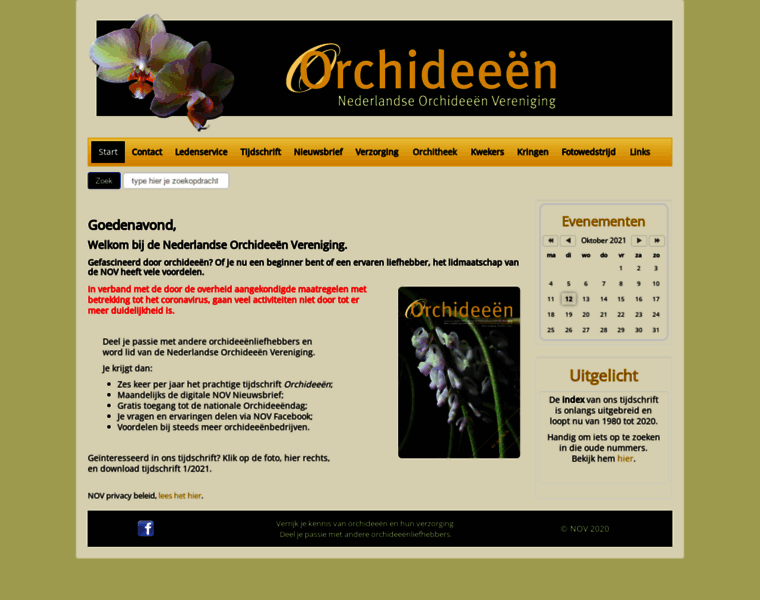 Nov-orchidee.nl thumbnail