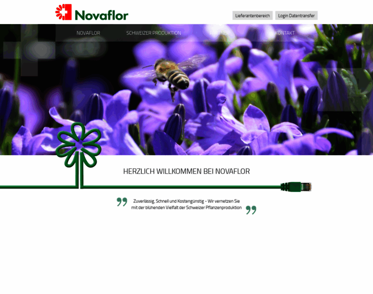 Novaflor.ch thumbnail