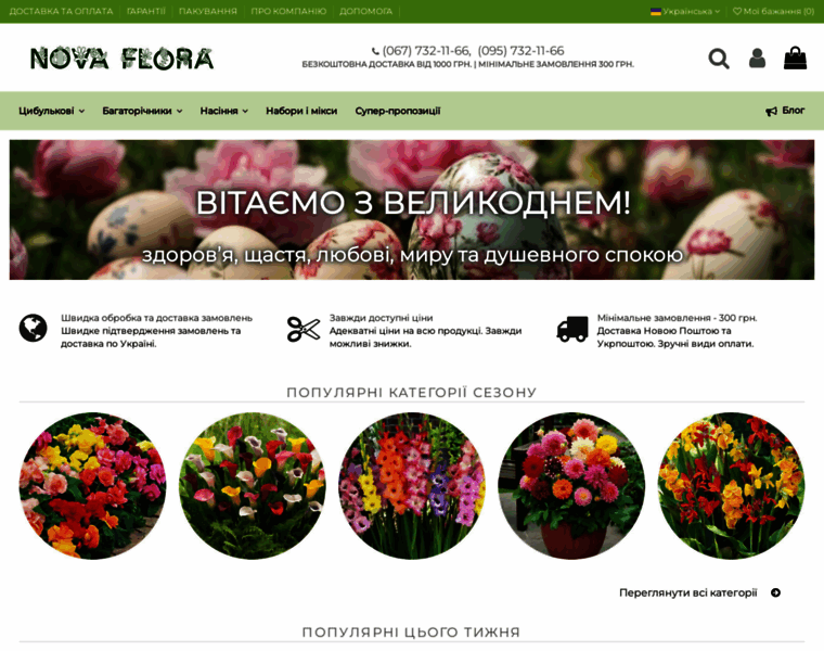 Novaflora.com.ua thumbnail