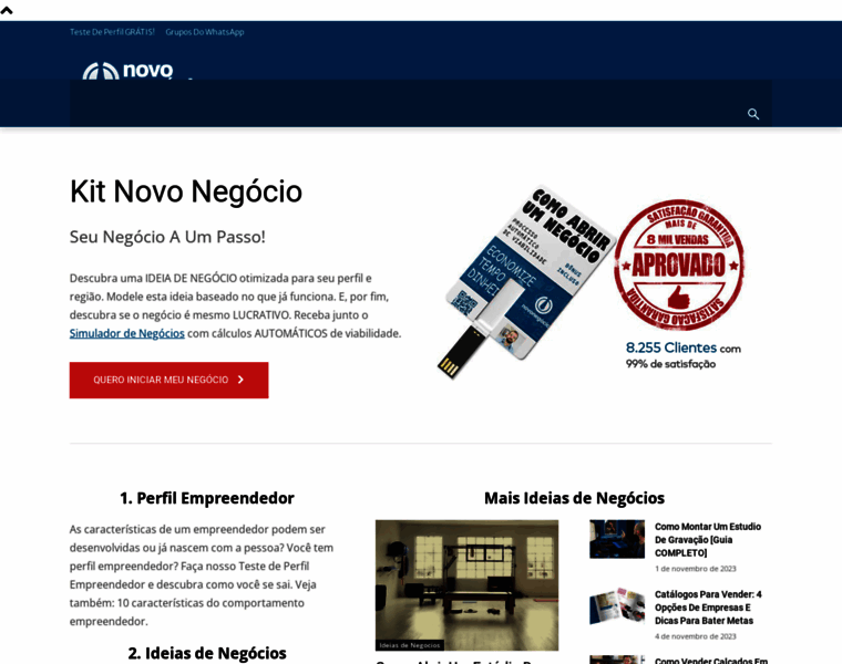 Novonegocio.com.br thumbnail