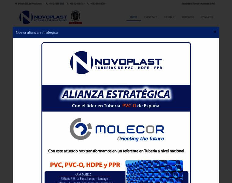 Novoplast.cl thumbnail