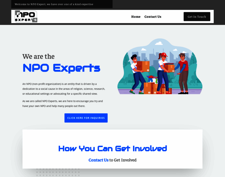 Npo-expert.com thumbnail