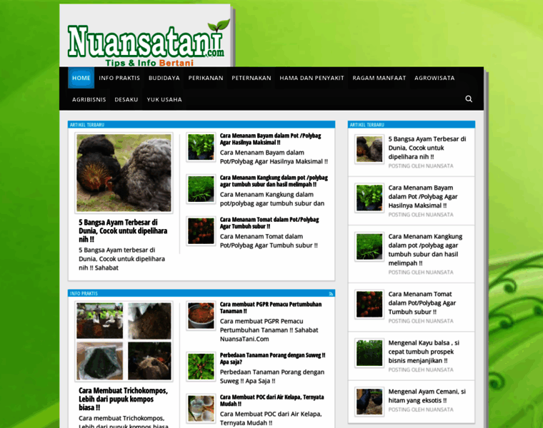Nuansatani.com thumbnail
