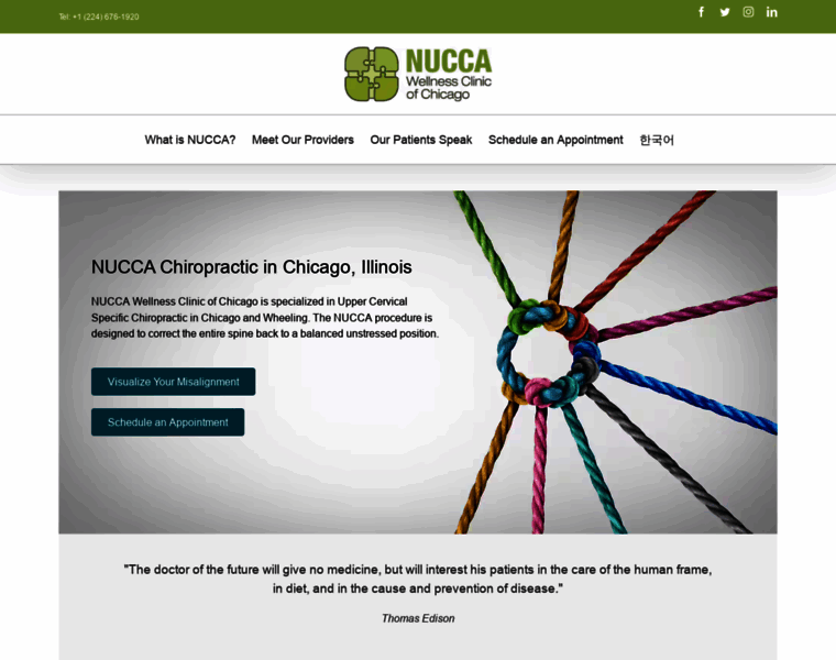 Nuccawellnesschicago.com thumbnail