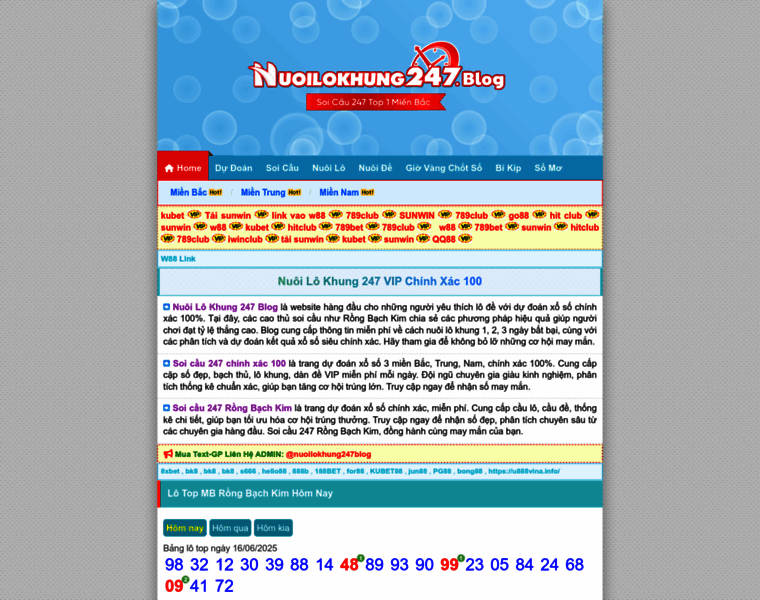 Nuoilokhung247.blog thumbnail