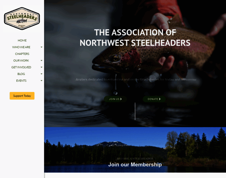 Nwsteelheaders.org thumbnail
