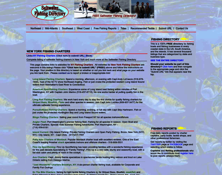 Ny-fishing-charters.com thumbnail