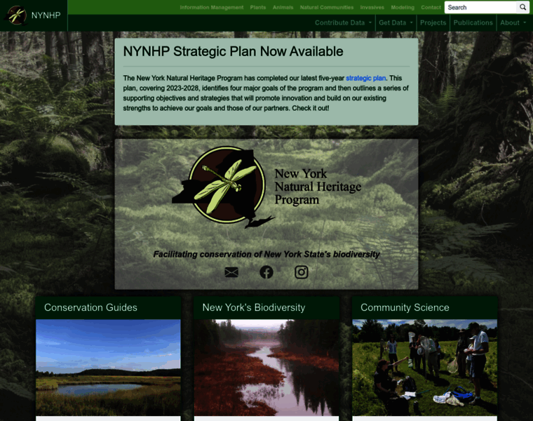 Nynhp.org thumbnail