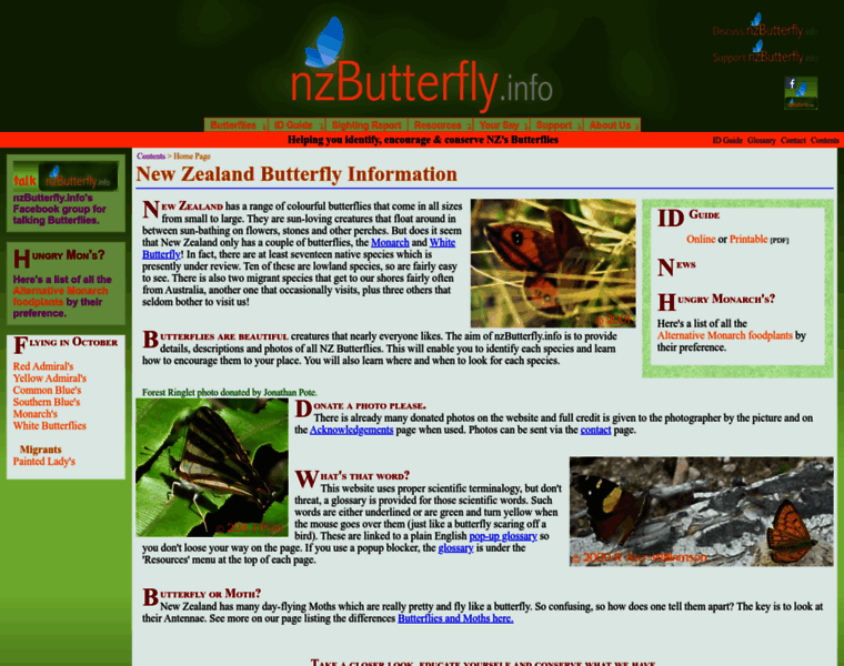 Nzbutterfly.info thumbnail