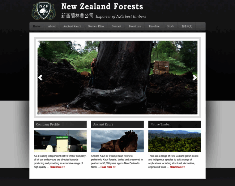 Nzforests.co.nz thumbnail