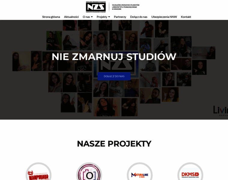 Nzs.pl thumbnail