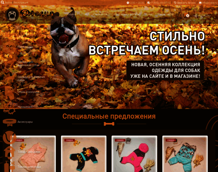 O-dog.ru thumbnail