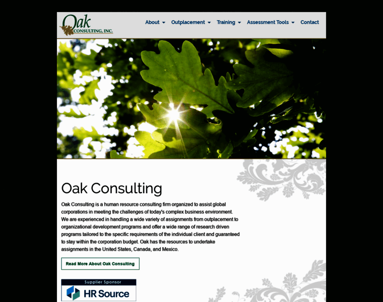 Oakconsulting.com thumbnail