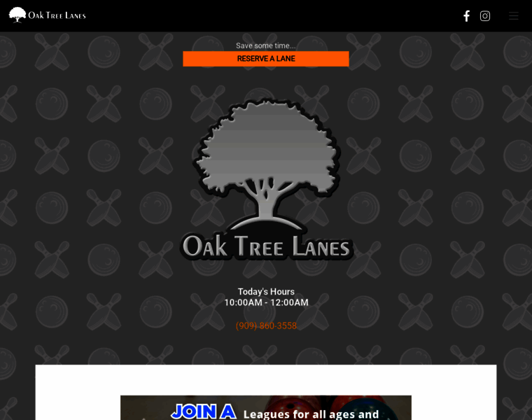 Oaktreelanes.net thumbnail