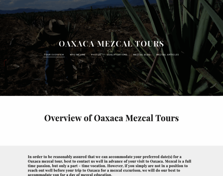 Oaxacamezcaltours.com thumbnail
