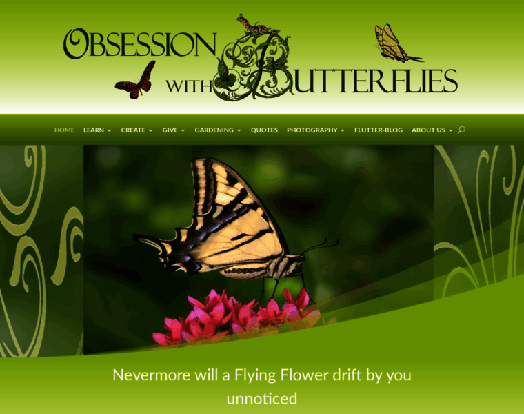 Obsessionwithbutterflies.com thumbnail