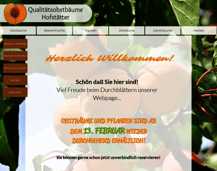 Obstbaumhofstaetter.com thumbnail