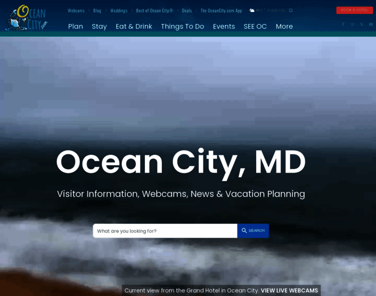 Oceancity.com thumbnail