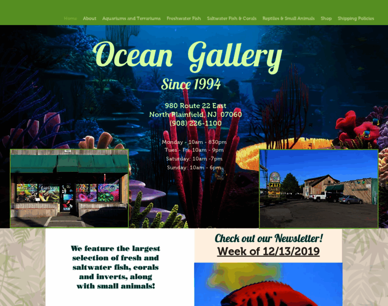 Oceangallery22.com thumbnail