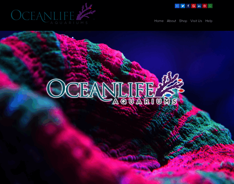 Oceanlife-aquariums.com thumbnail