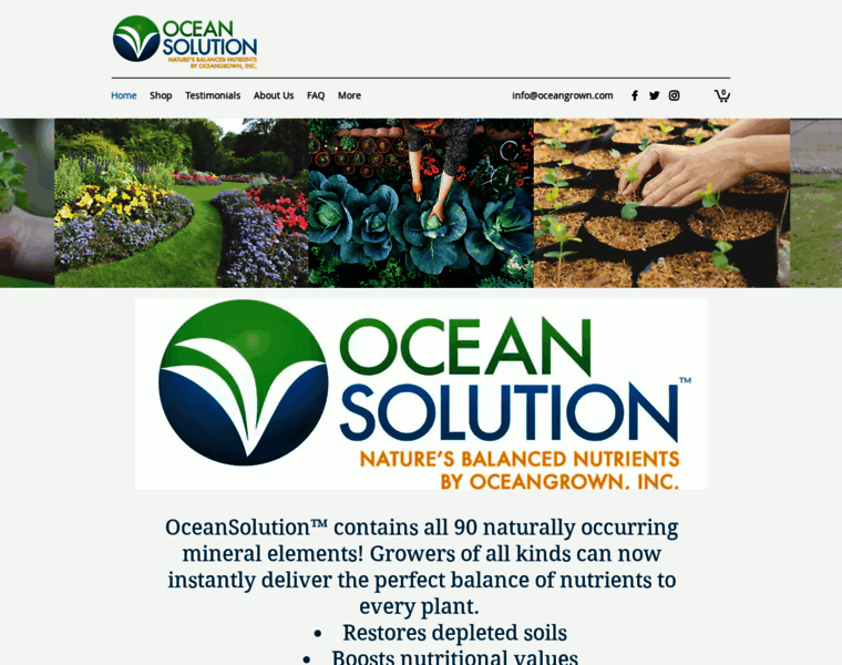Oceansolution.com thumbnail