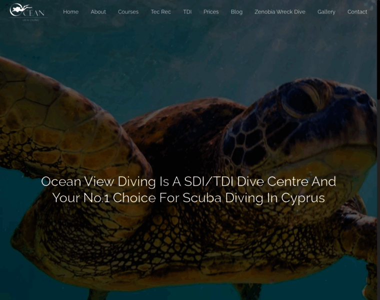 Oceanviewdive.com thumbnail