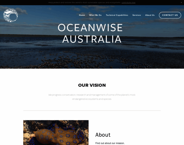 Oceanwise.com.au thumbnail