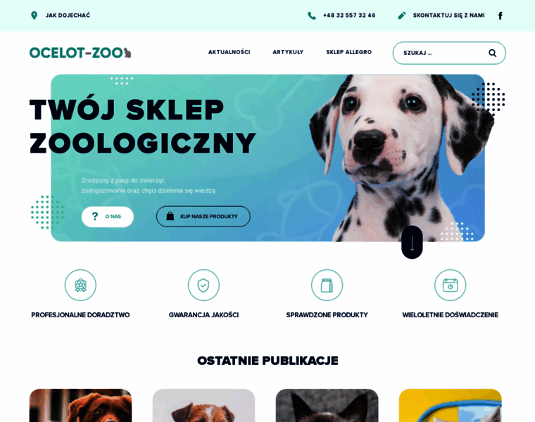 Ocelot-zoo.pl thumbnail
