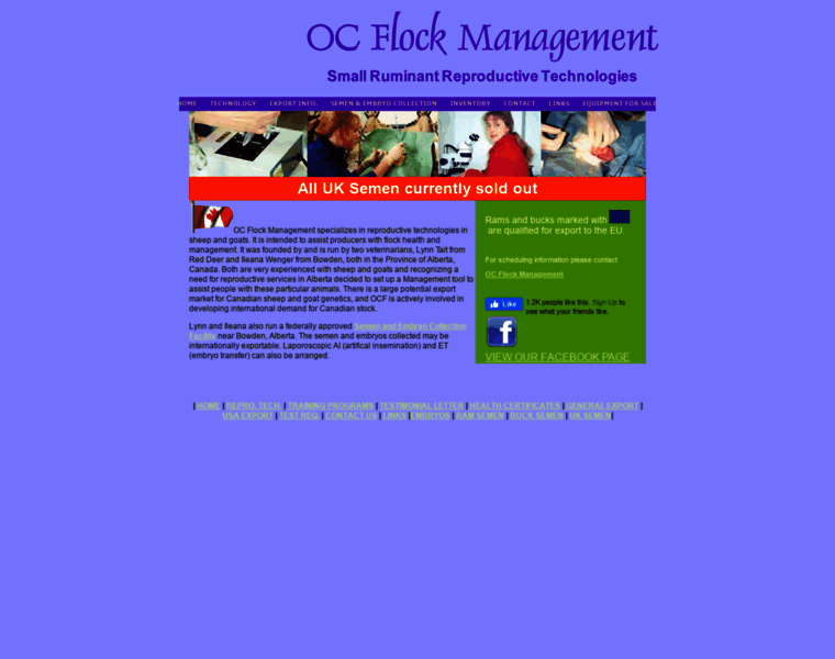 Ocflock.com thumbnail