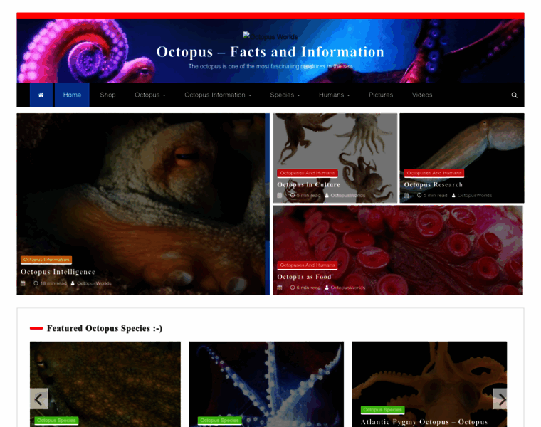 Octopusworlds.com thumbnail