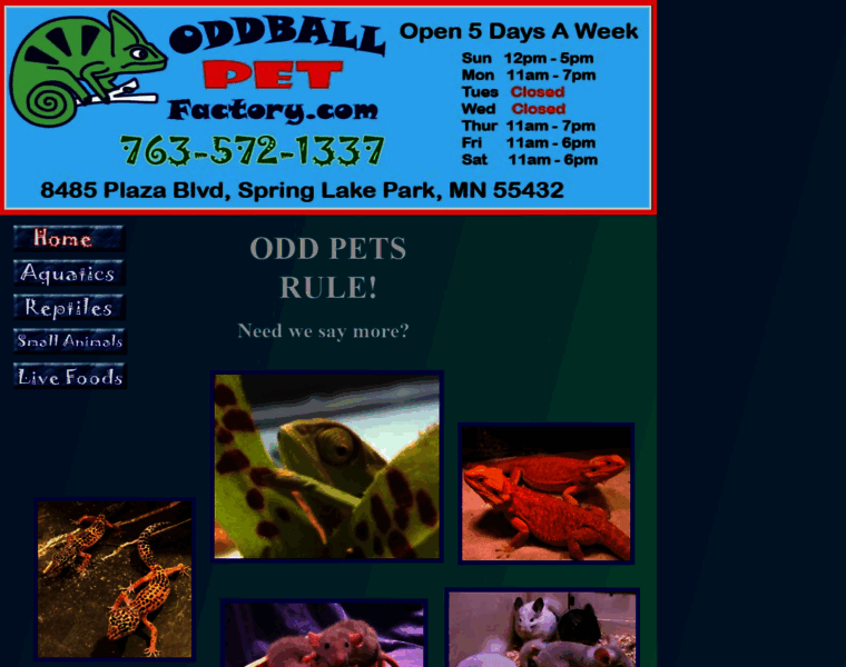 Oddballpetfactory.com thumbnail