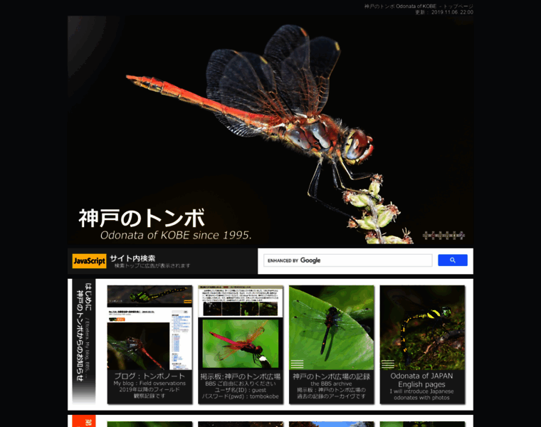 Odonata.jp thumbnail