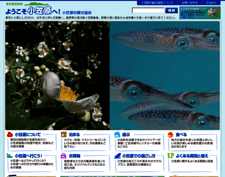Ogasawaramura.com thumbnail Ogasawaramura.com thumbnail