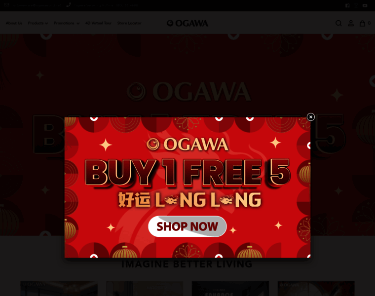 Ogawaworld.net thumbnail