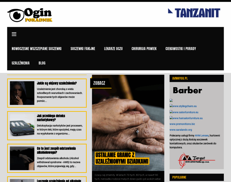 Ogin.edu.pl thumbnail