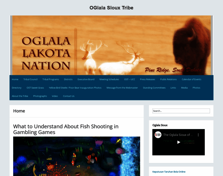Oglalalakotanation.org thumbnail
