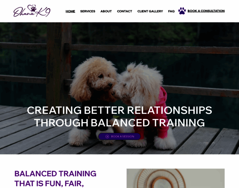 Ohanak9.net thumbnail