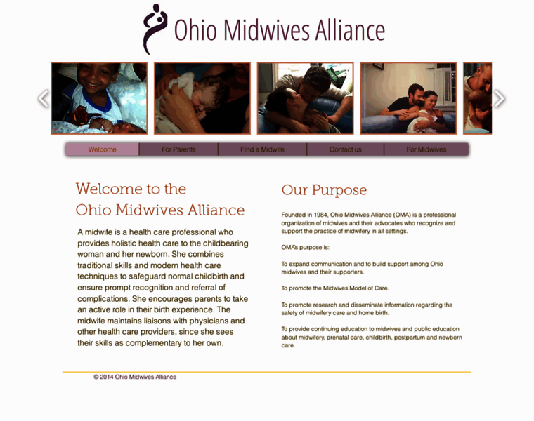 Ohiomidwives.org thumbnail