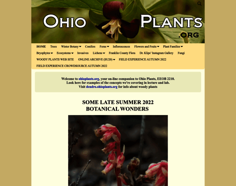 Ohioplants.org thumbnail