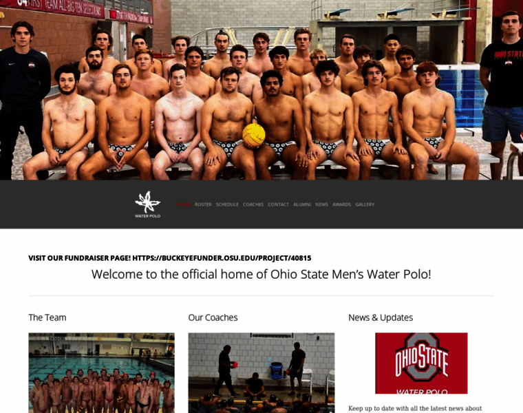 Ohiostatewaterpolo.com thumbnail