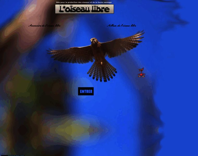 Oiseau-libre.net thumbnail