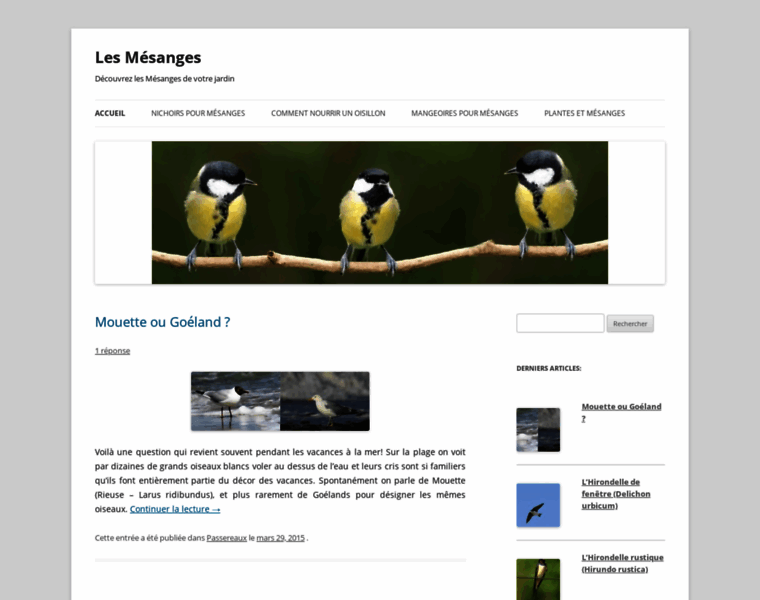 Oiseau-mesange.fr thumbnail